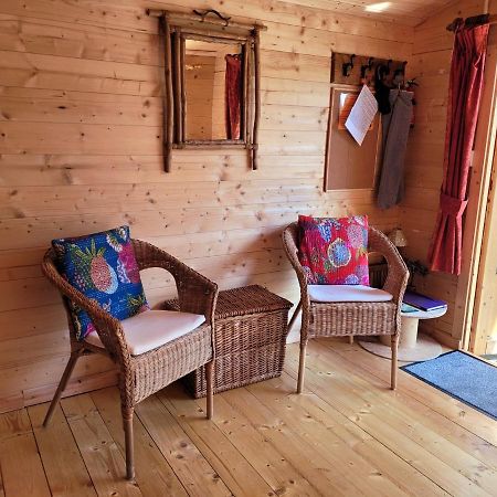 Tan Y Coed'S Rosemary Cabin Conwy Esterno foto