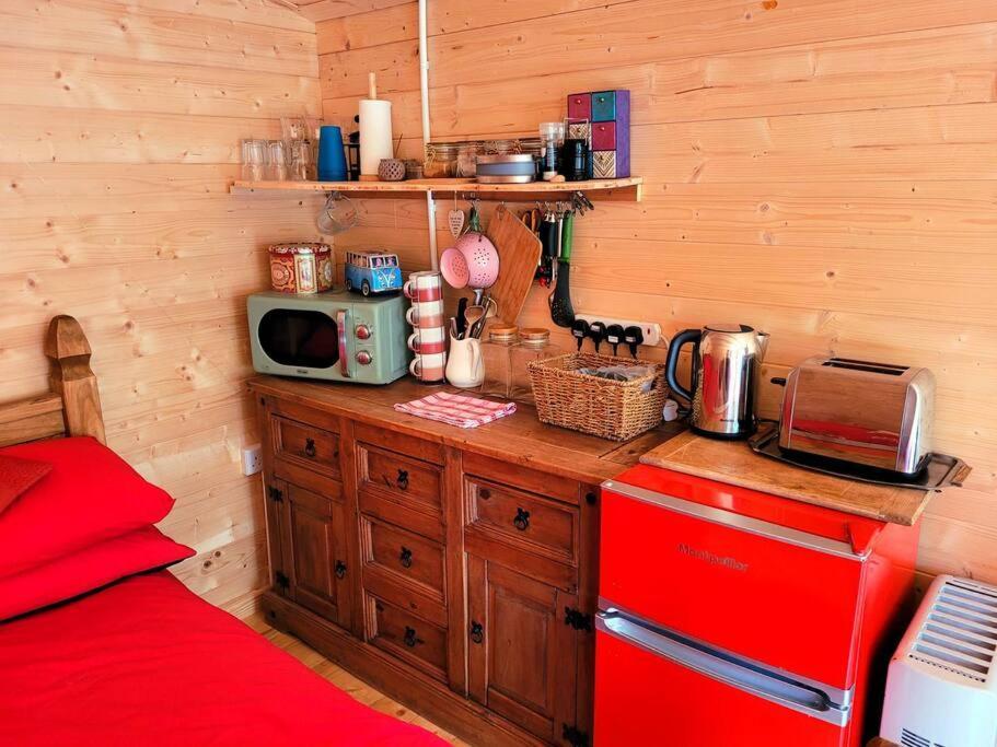Tan Y Coed'S Rosemary Cabin Conwy Esterno foto
