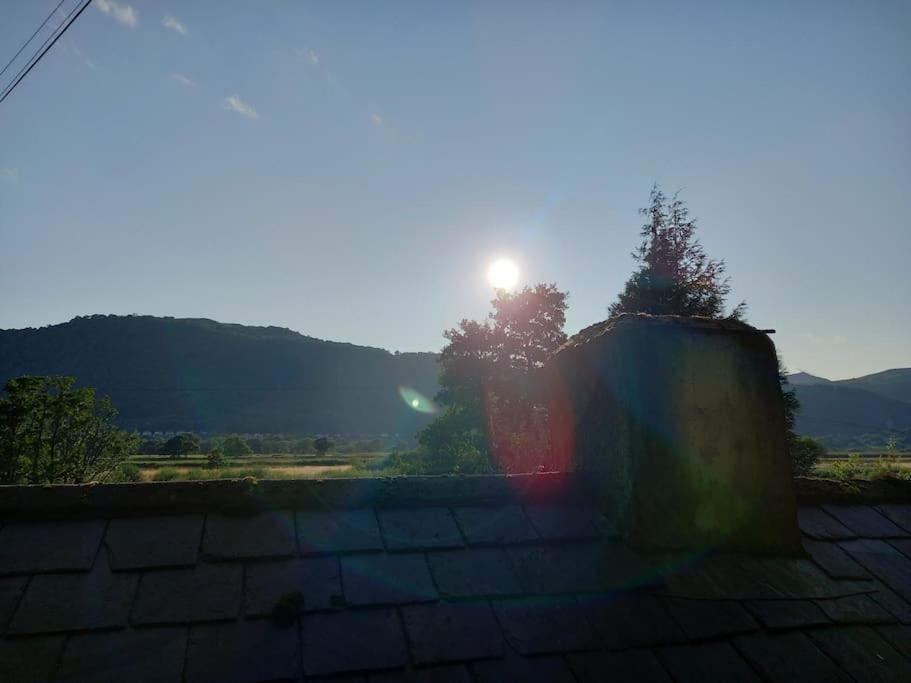 Tan Y Coed'S Rosemary Cabin Conwy Esterno foto