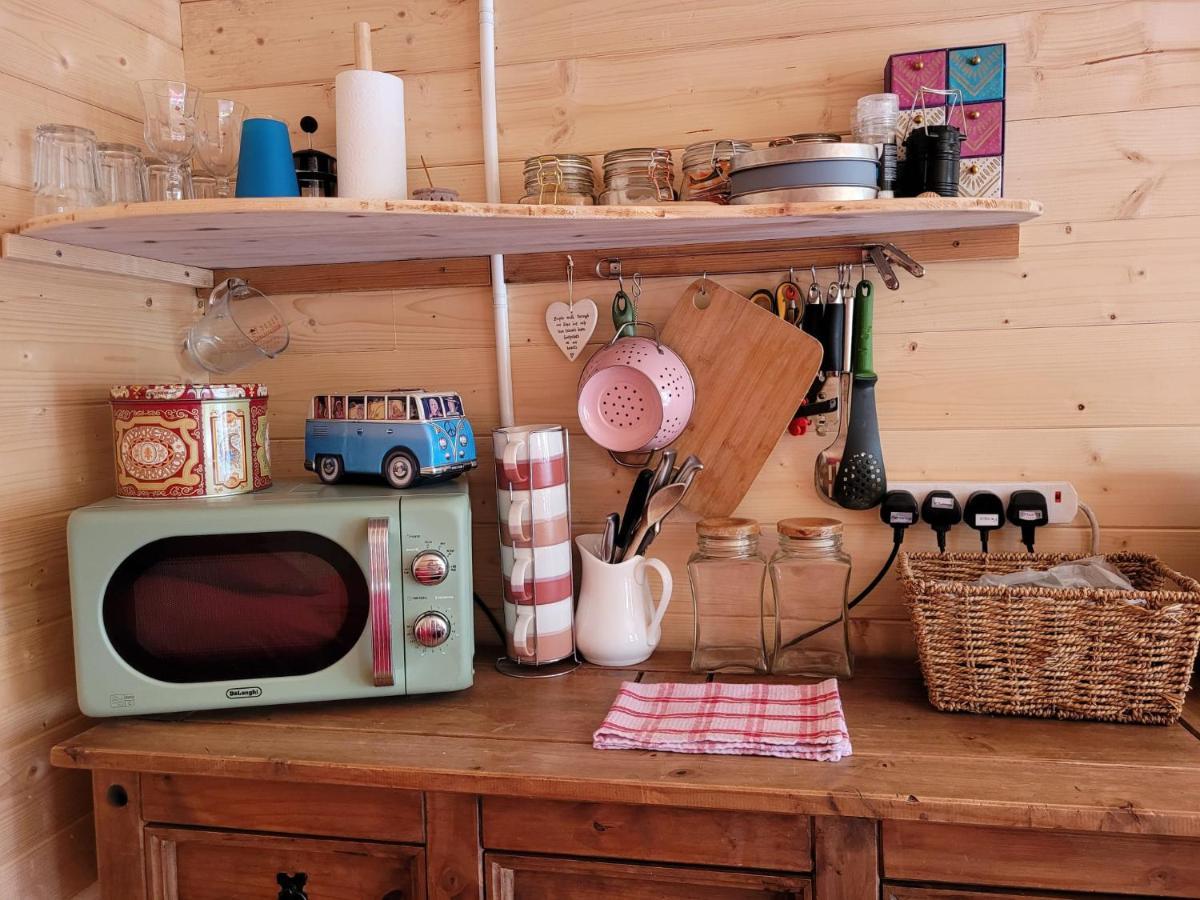 Tan Y Coed'S Rosemary Cabin Conwy Esterno foto