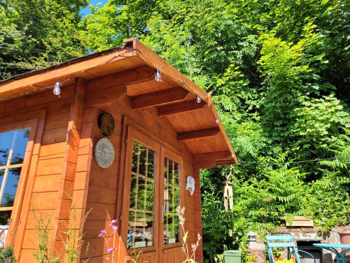 Tan Y Coed'S Rosemary Cabin Conwy Esterno foto